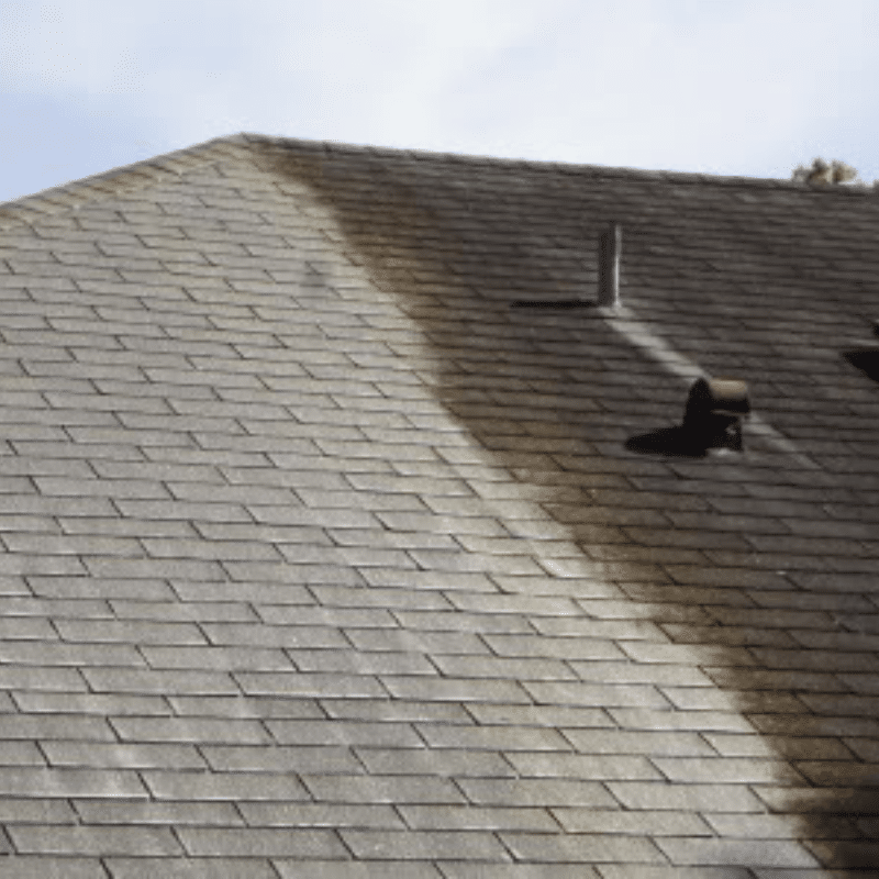 Roof Cleaning