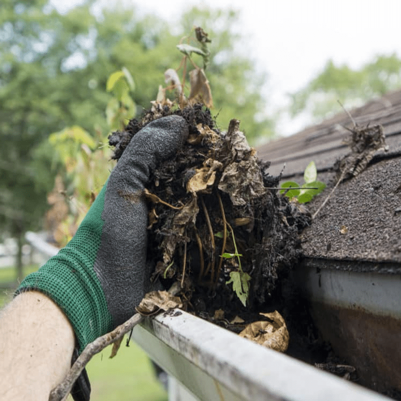 Gutter cleanout service in little rock ar