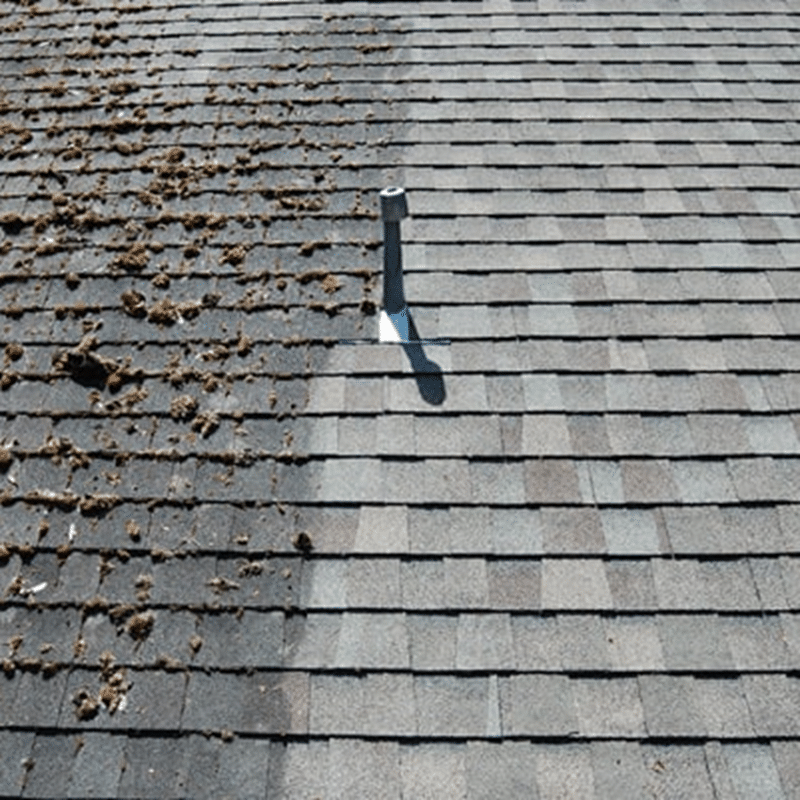 roof soft washing company in little rock ar